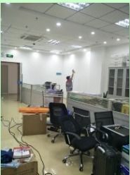 守护城市卫生防线 一文解读深圳综合虫控与保洁管理